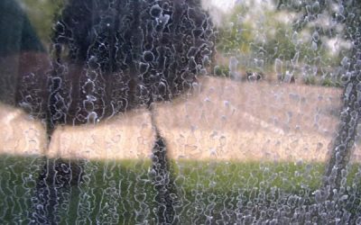 2 Effects Of Hard Water On Glass