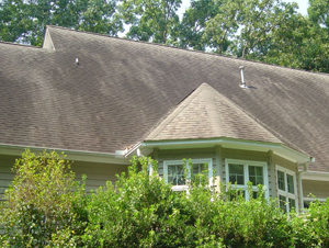 Does your roof have black streaks or moss? Have you ever thought of replacing your roof?
